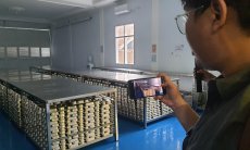 Marak Keracunan MBG, Kabersihan Dapur SPPG Cimahi Jadi Sorotan